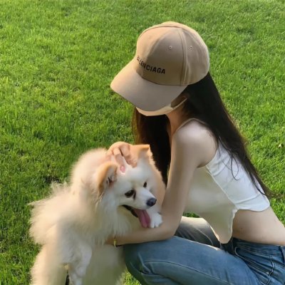 笨人寻春海报
