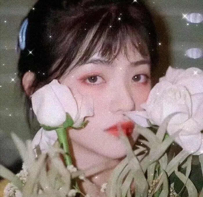 脑残粉丝海报