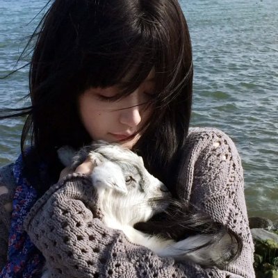 烈爱风云海报